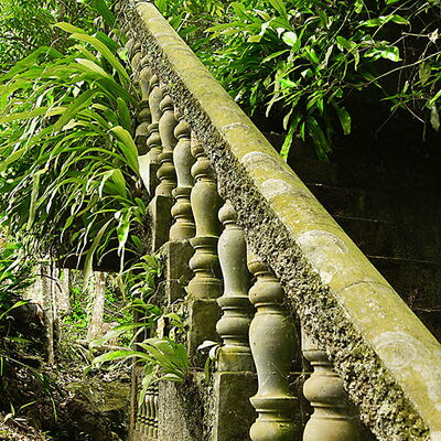 eine von Pflanzen und Moos bedeckte Treppe in Thailand
